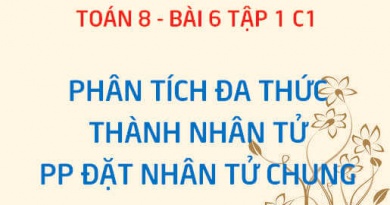 Cách phân tích đa thức thành nhân tử: Phương pháp đặt nhân tử chung - Toán 8 bài 6 tập 1 chương 1